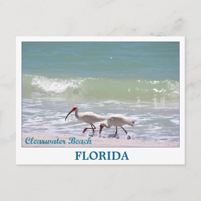 Belle carte postale de Clearwater Beach Florida (Devant)