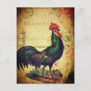 Belle carte postale de coq Vintage