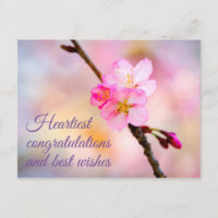 Belle carte postale de fleurs de cerisier Sakura