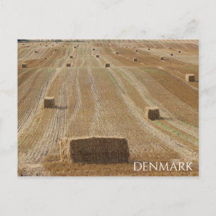 Belle carte postale de la campagne danoise !