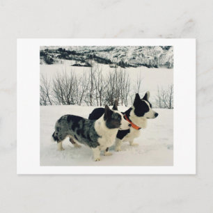 Belle carte postale de vacances