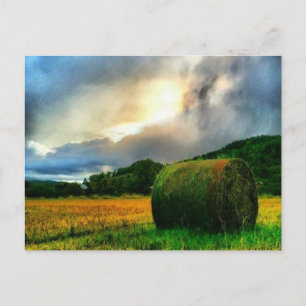 Belle carte postale d'un champ de foin