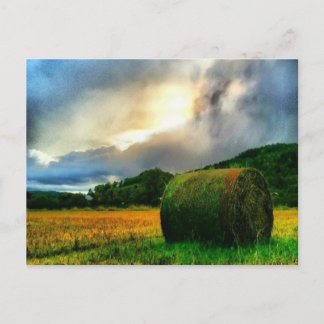Belle carte postale d'un champ de foin