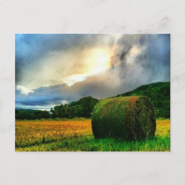 Belle carte postale d'un champ de foin (Devant)