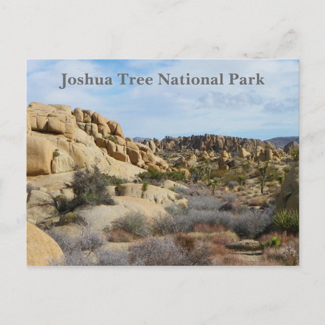 Belle Carte Postale Joshua Tree ! (Devant)