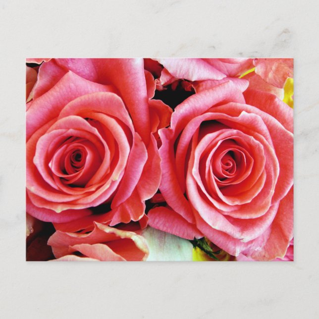 Belle carte postale Rose (Devant)
