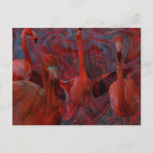 Belle carte postale rose "Flamant rose Dance"