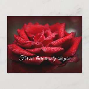 Belle carte postale Rose Rouge  Message personnali