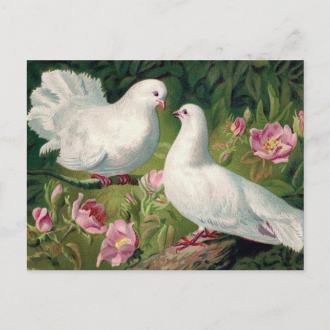 Belle carte postale Vintage de Pâques (Devant)