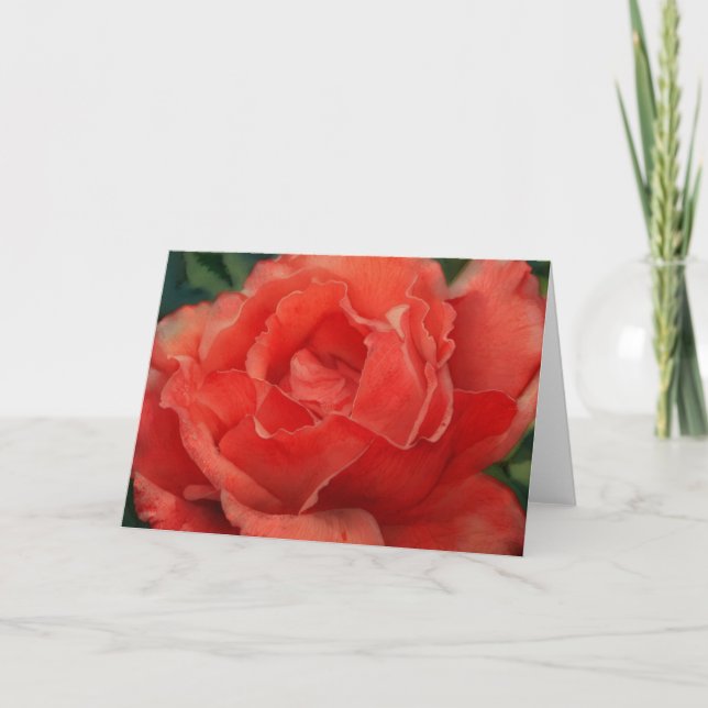 Belle carte Rose Art Coral Rouge (Devant)