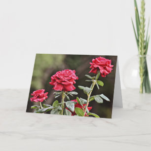 Belle carte Rose naturelle Flower Note