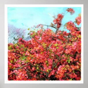 Belle chanson, affiche