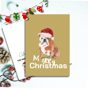 Belle Chien à taureau anglais à Santa Hat Joyeux N