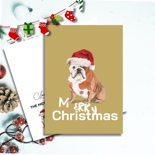 Belle Chien à taureau anglais à Santa Hat Joyeux N (Créateur téléchargé)