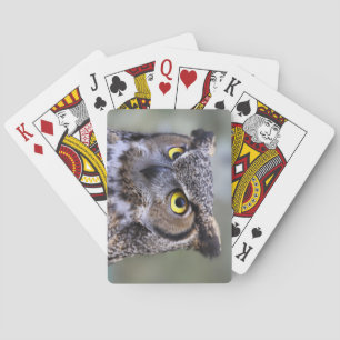 Belle Chouette Deck de cartes de jeu