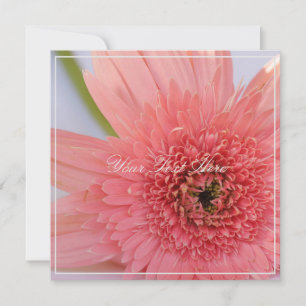 Belle Chrysanthème rose Votre Carte Plat Texte