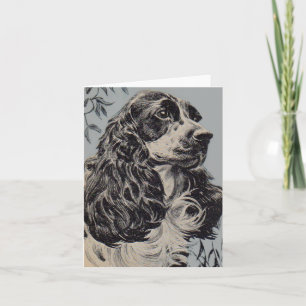 belle cocker spaniel