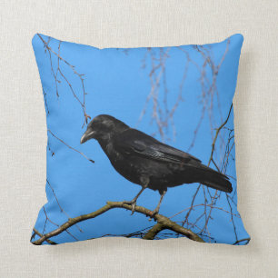 Belle corneille sur perche dans un oreiller à lan