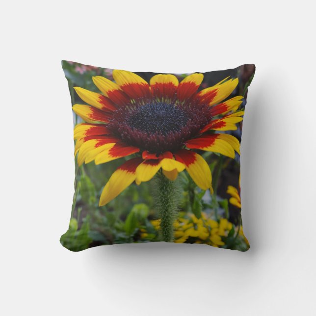 Belle couverture coussin (Recto)