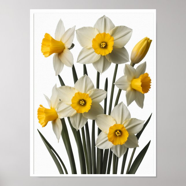 Belle Daffodil Fleurs Poster Décor Mur (Devant)