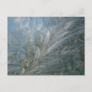 Belle do-it-yourself Carte postale Fleur de Glace