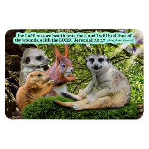 Belle écriture de guérison Magnet Jeremiah 30:17