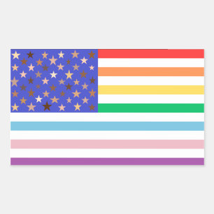 Belle Étiquette Rectangulaire Drapeau USA