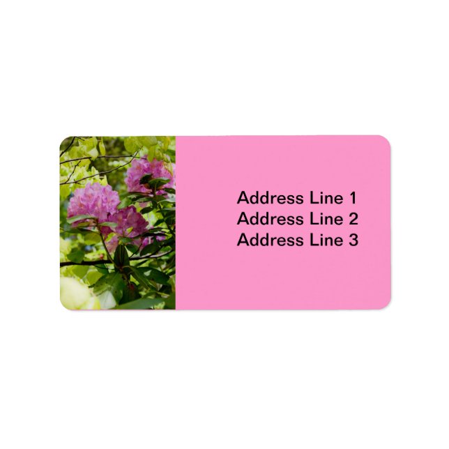 Belle Étiquette Rhododendron (Devant)
