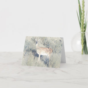 Belle Faune - Carte de voeux vierge