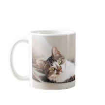 Belle Feline Ami Amoureux de les chats Photo Mug