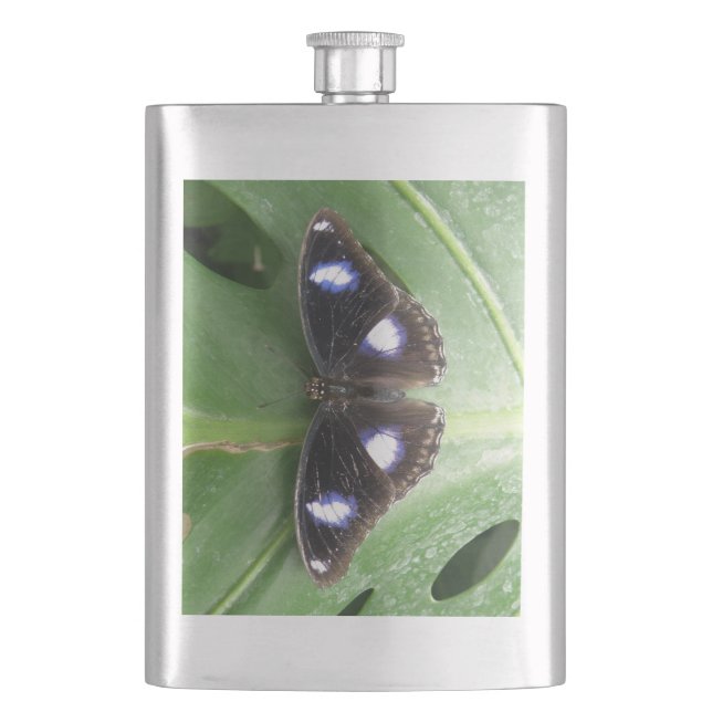 Belle fiole à papillon tacheté bleu (devant)