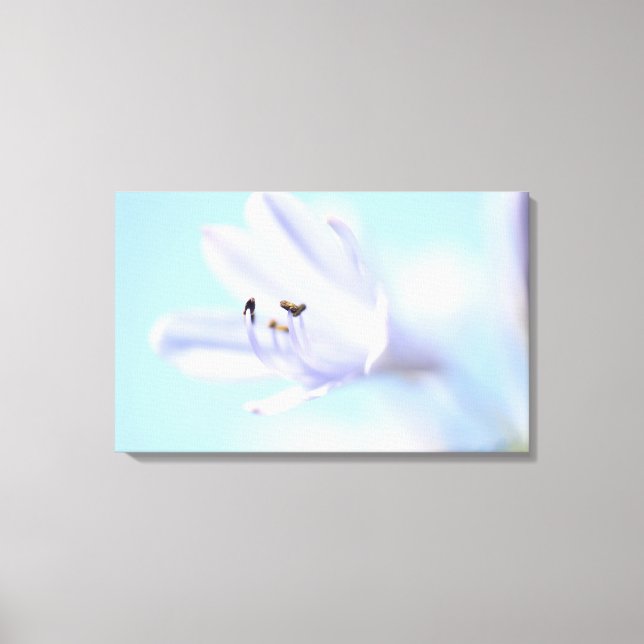 Belle Fleur Bleue Douce Impression sur Toile Tendu (Recto)