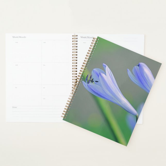 Belle Fleur Bleue Pâle Violette (Devant avec enveloppe)