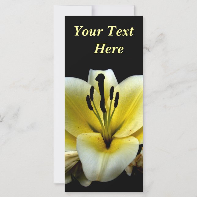 Belle Fleur Jaune Élégante sur Fond Noir (Devant)