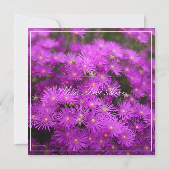 Belle Fleurs Roses Putples Votre Carte Plat Texte (Devant)