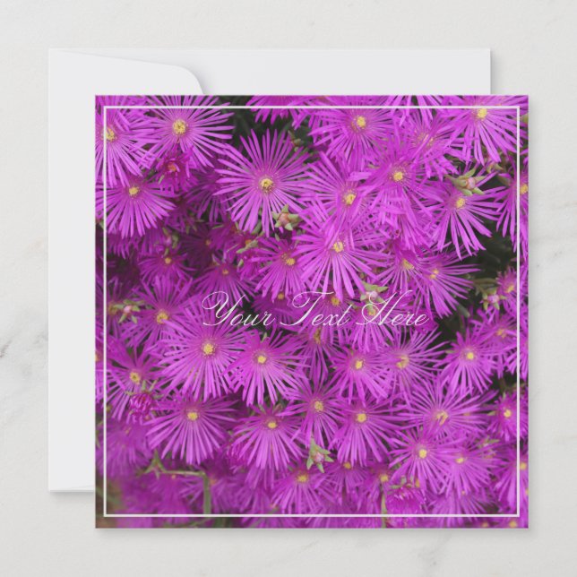 Belle Fleurs Roses Putples Votre Carte Plat Texte (Devant)