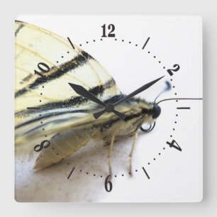 Belle horloge murale carrée papillon