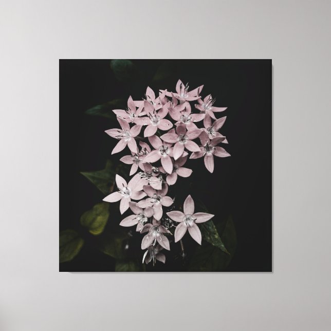 Belle image de fleur sur toile (Recto)