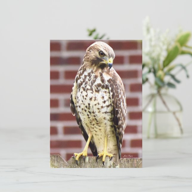 Belle impression de carte de billet Hawk (Debout devant)