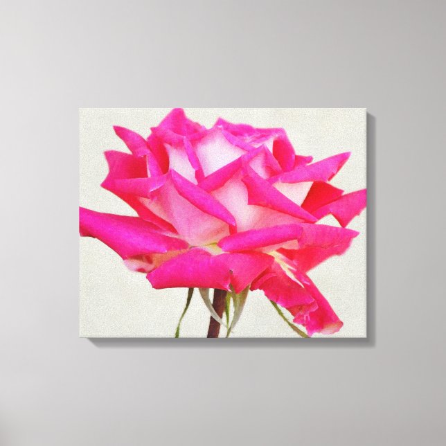 Belle Impression sur Toile d'Art de Rose Rose Fleu (Recto)