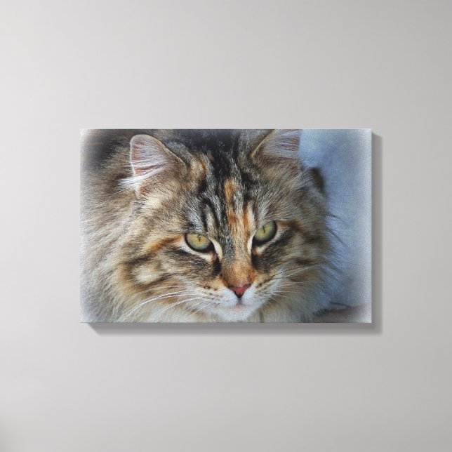 Belle impression sur toile de chat sauvage (Recto)