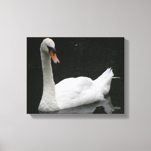 Belle Impression sur Toile de Cygne Blanc (Recto)