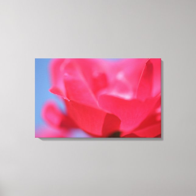 Belle Impression sur Toile de Fleur de Rose Rose (Recto)