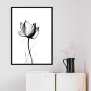 Belle impression Xray Tulip Art