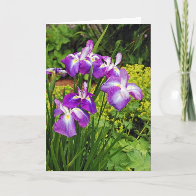 Belle iris violet fleurs imprimer carte de voeux (Devant)