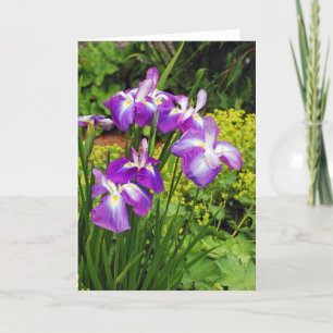Belle iris violet fleurs imprimer carte de voeux