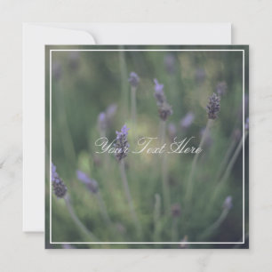 Belle Lavande Fleurs Votre Carte Plat Texte