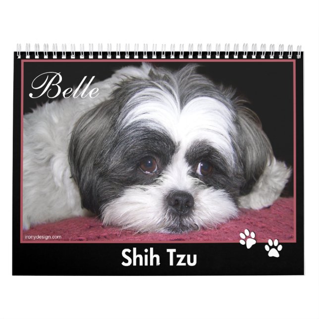 Belle le calendrier de Shih Tzu (Protection)