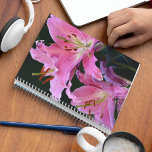 Belle Lys Rose Fleurit<br><div class="desc">Ce planificateur mensuel/hebdomadaire de calendrier garde toutes vos activités et vos horaires à venir organisées en un seul endroit pratique et présente l'image photo de belles fleurs roses de Lys Oriental des deux côtés. Un joli design floral ! Sélectionnez la couleur du fil du planificateur.</div>