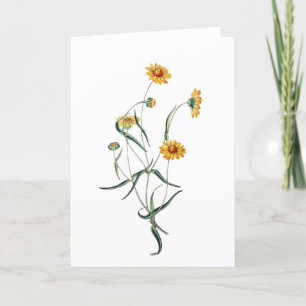 Belle Marguerite Jaune Carte Fleurs Sauvages